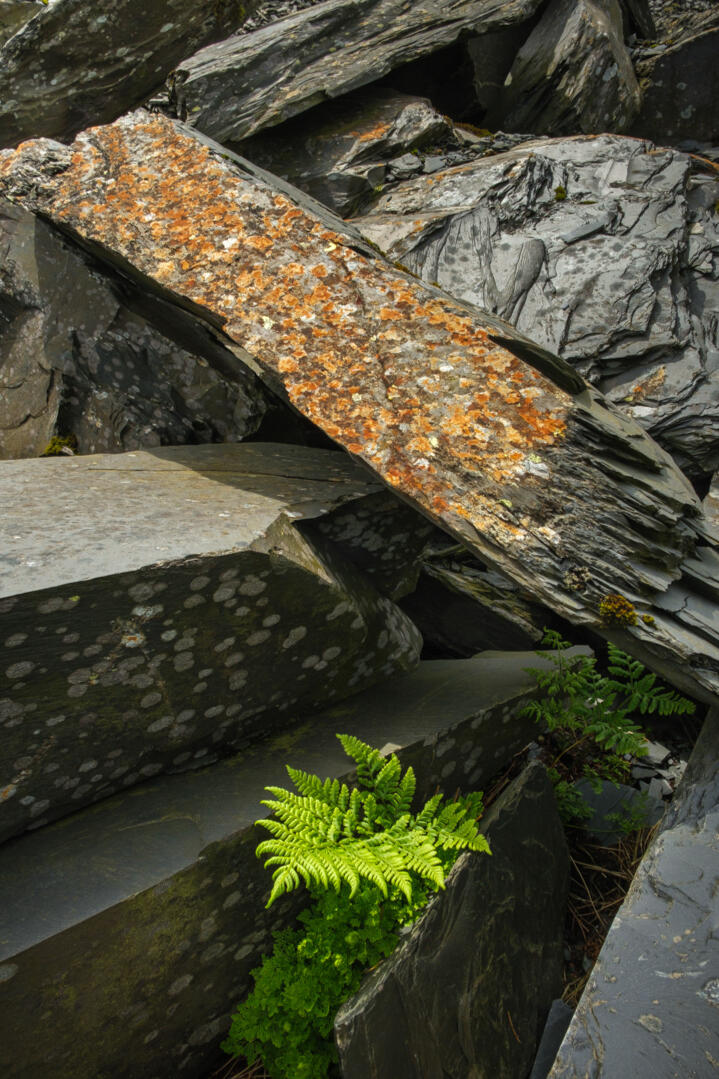 Reclamation Cwmorthin, Blaenau Ffestiniog