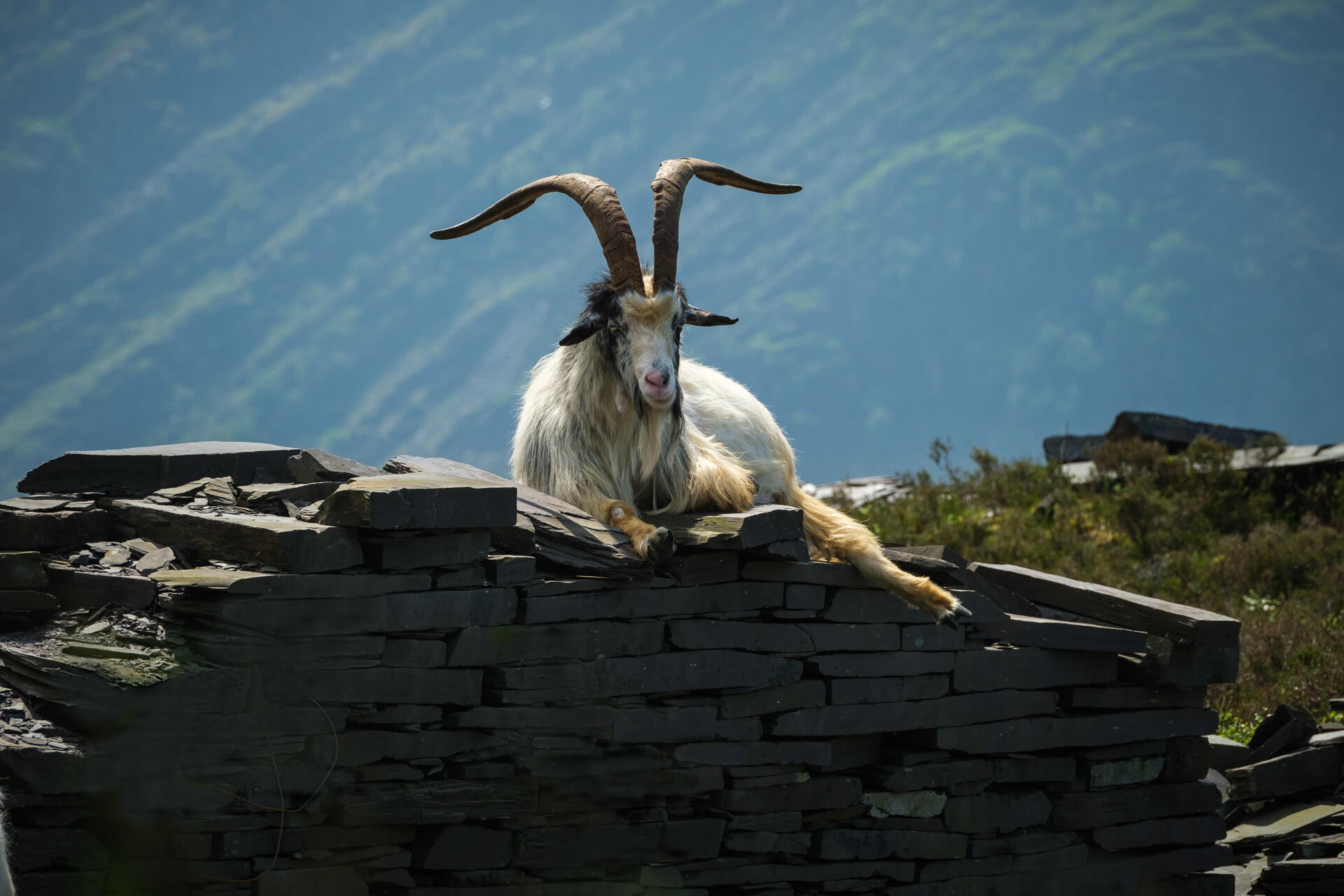 Take It Easy Dinorwic Quarry