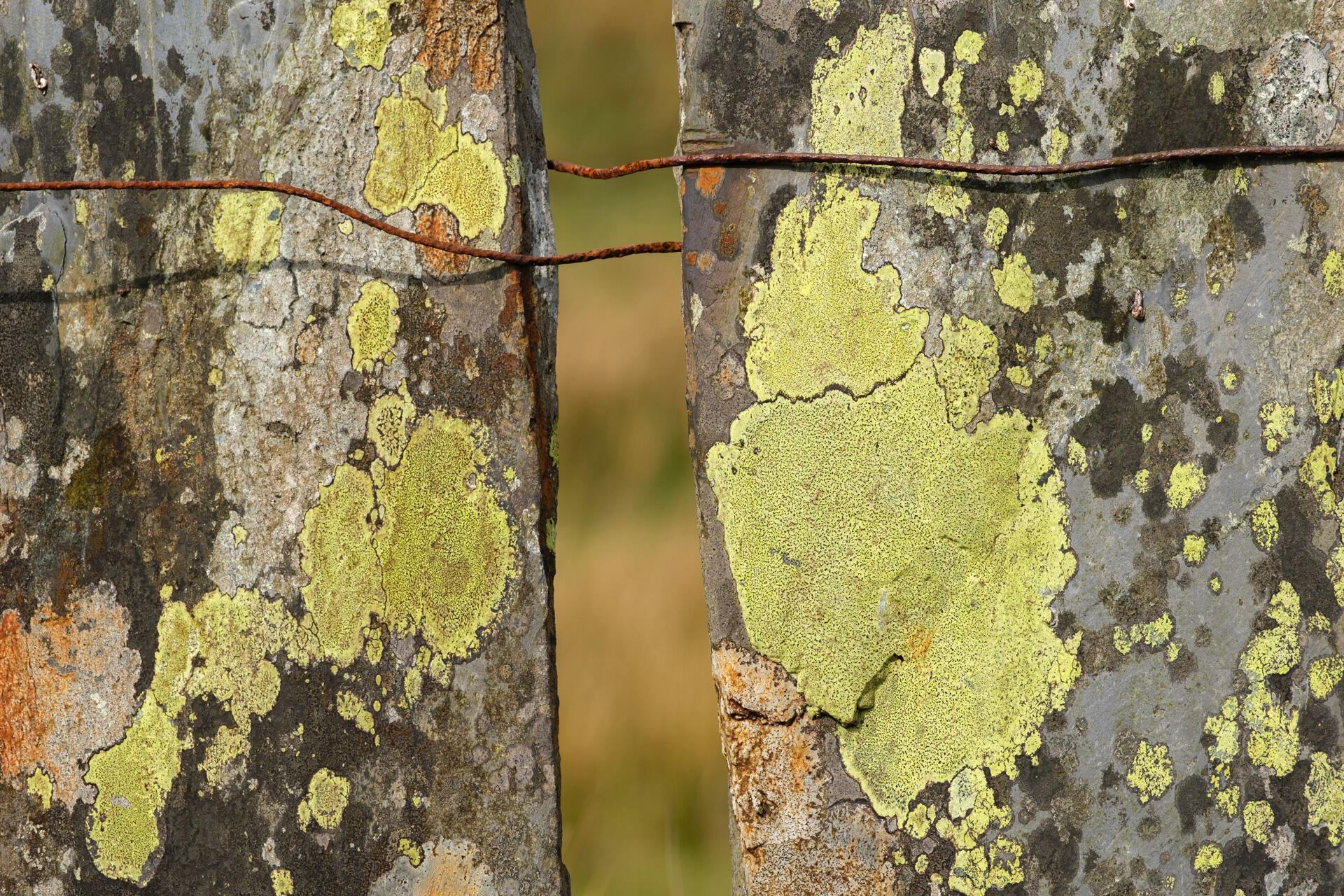 Bound Together Cwmorthin, Blaenau Ffestiniog