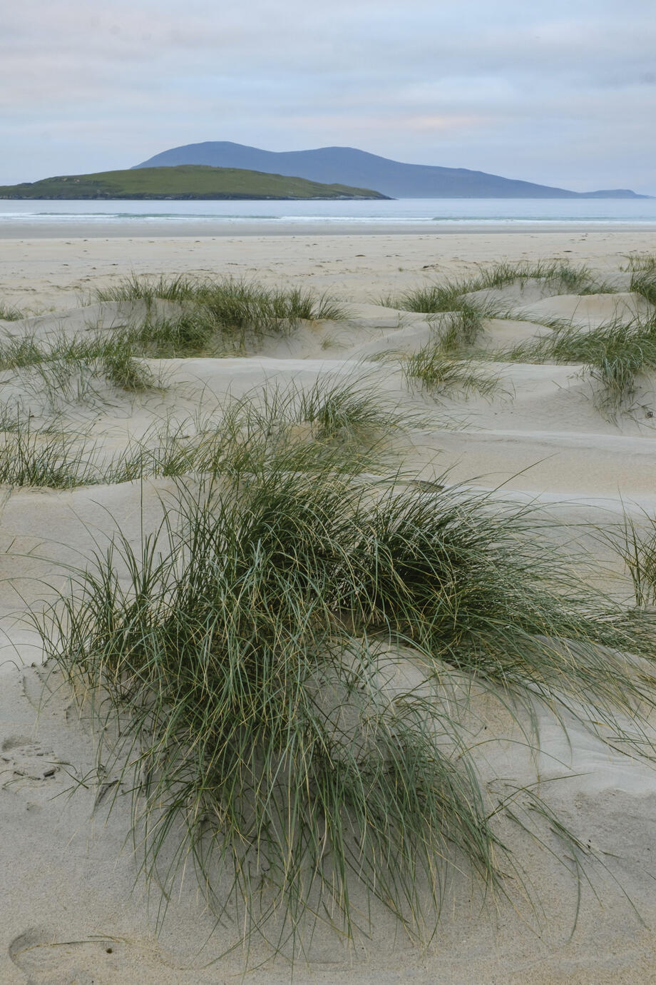 Footprints and Pathways