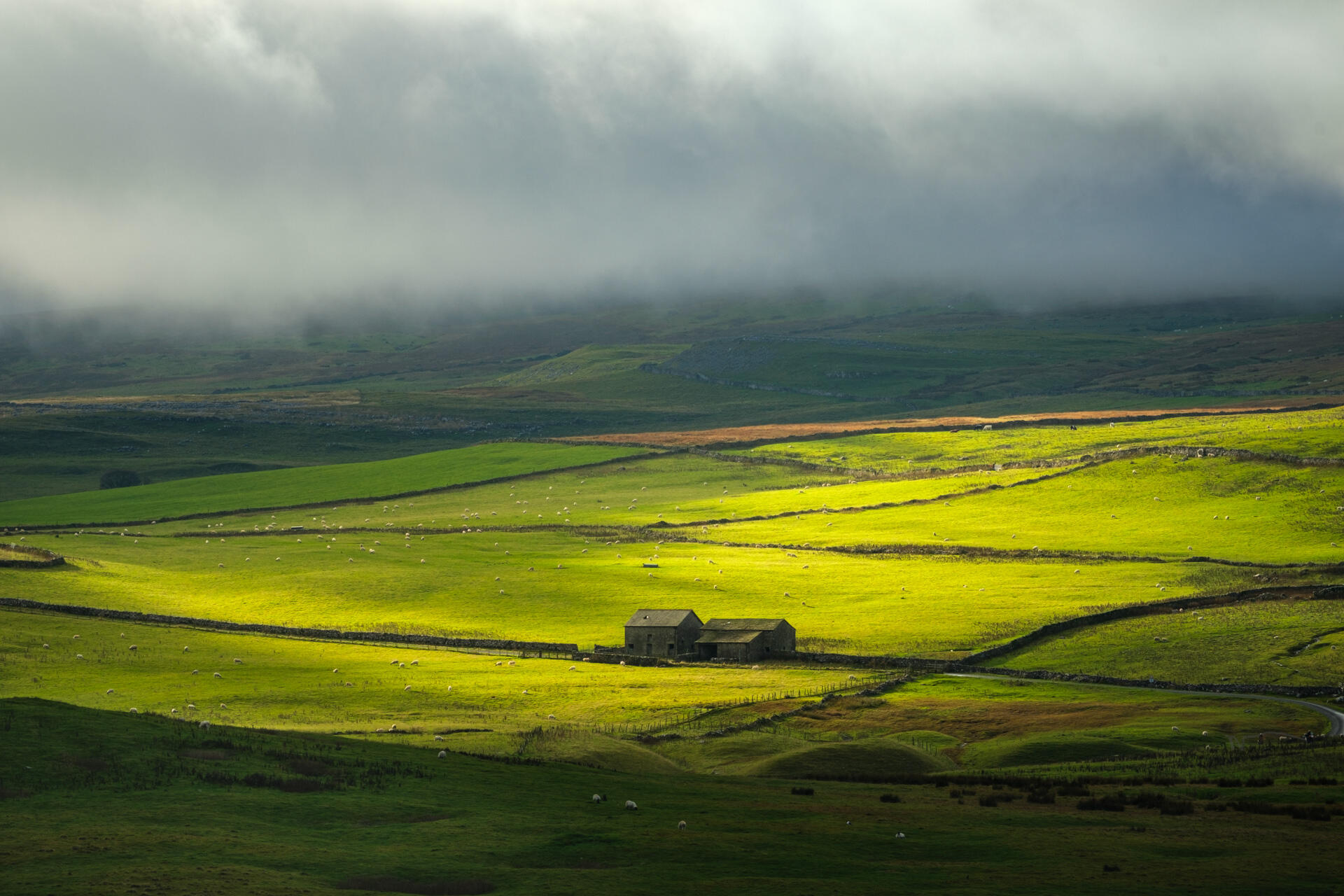 Fleeting Moment Thoragill Beck Pasture, Malham Moor