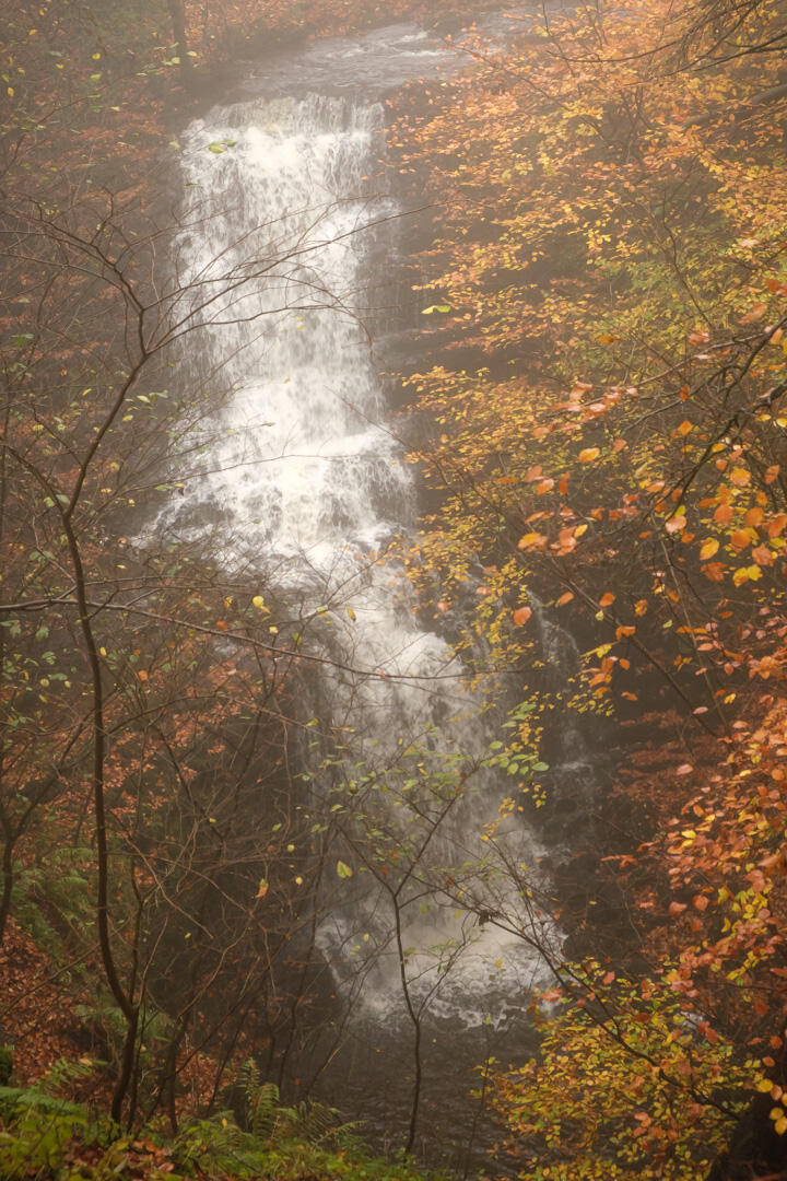 Misty Falls Scaleber Force, Settle