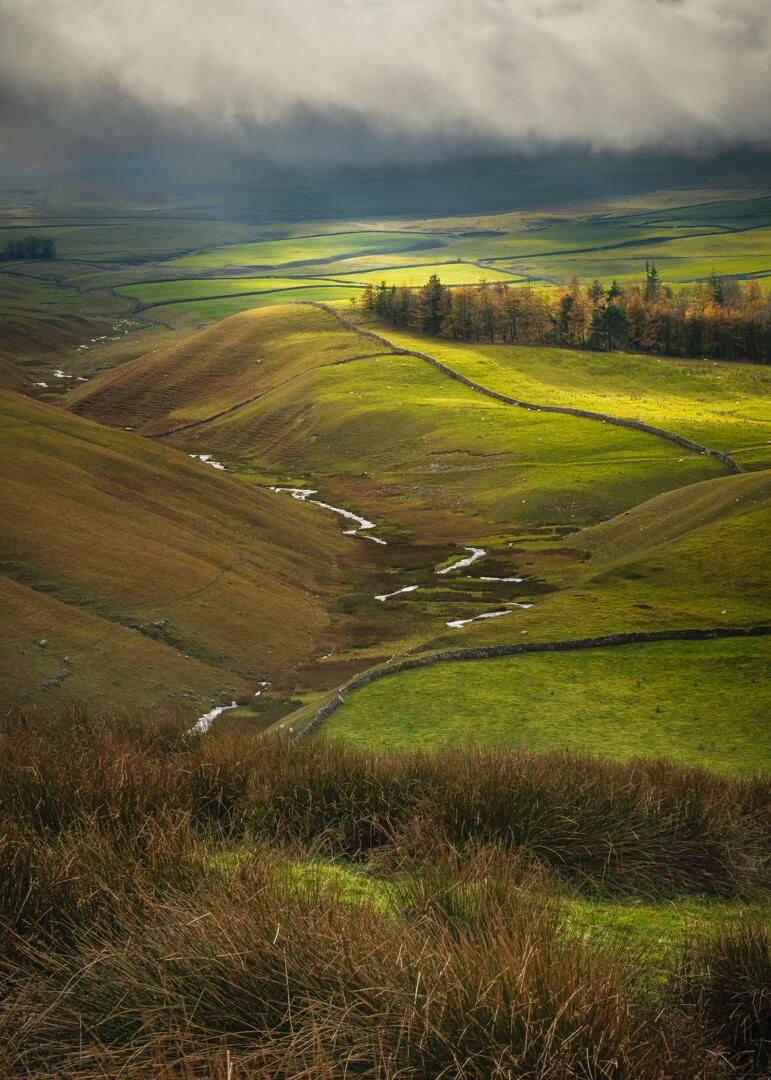 Streaming Light Cowside Beck, Malham Moor