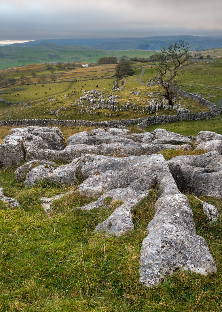 Hard Standing Plantlife Winskill Stones Nature Reserve, Langcliffe